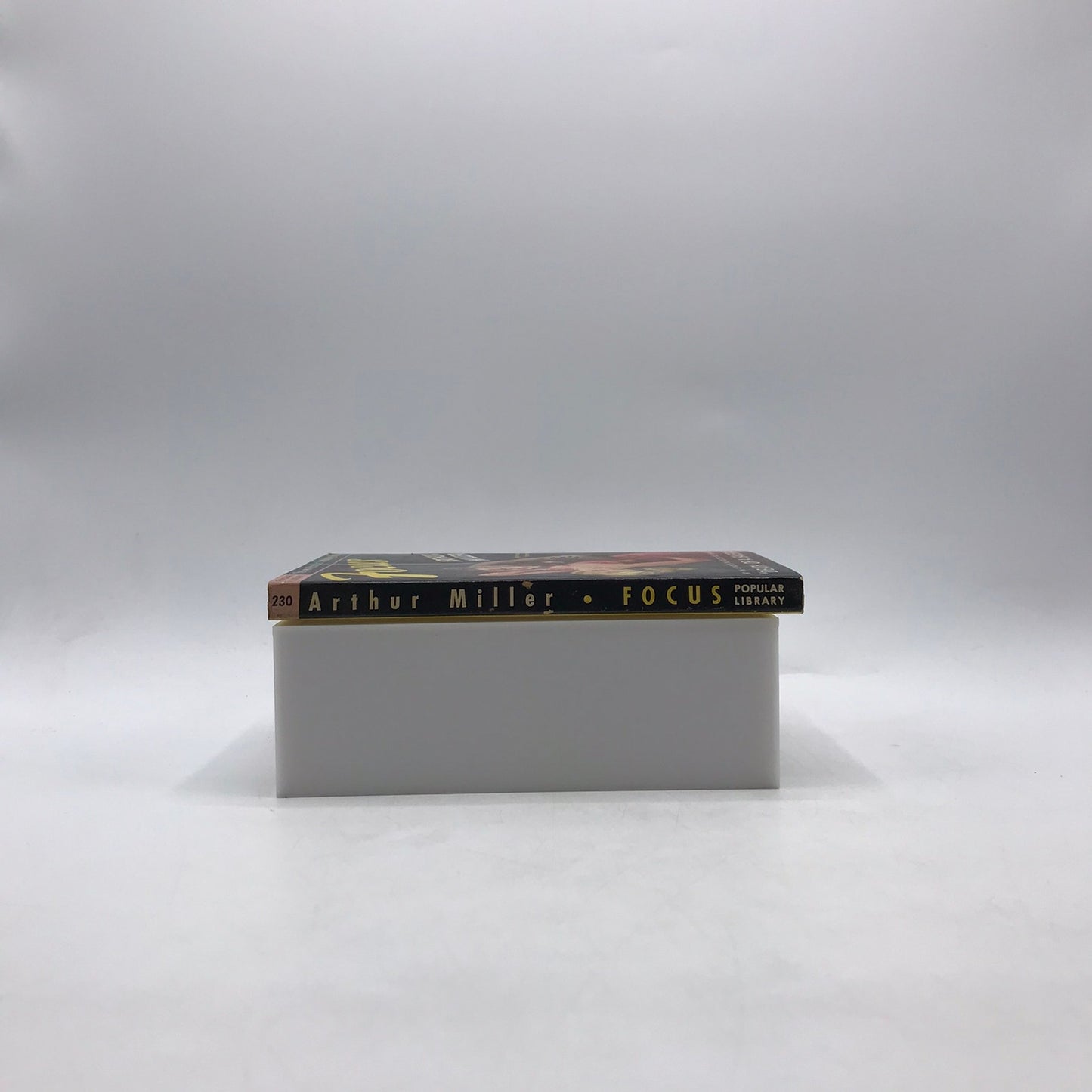 Focus Arthur Miller A Realistic Novel Psychological Historical Jewish Fiction