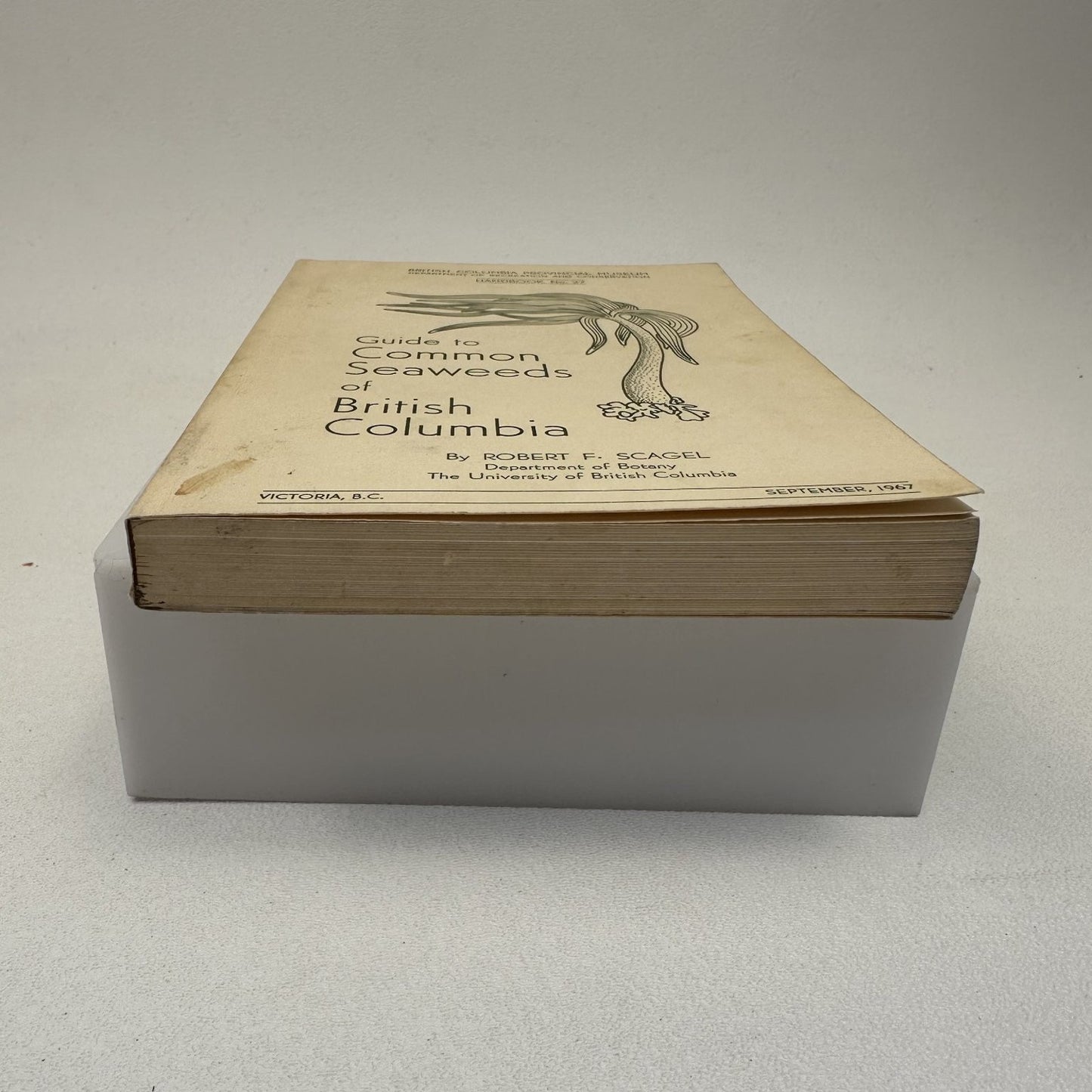 Guide to Common Seaweeds of British Columbia Scagel 1967 Botany Handbook