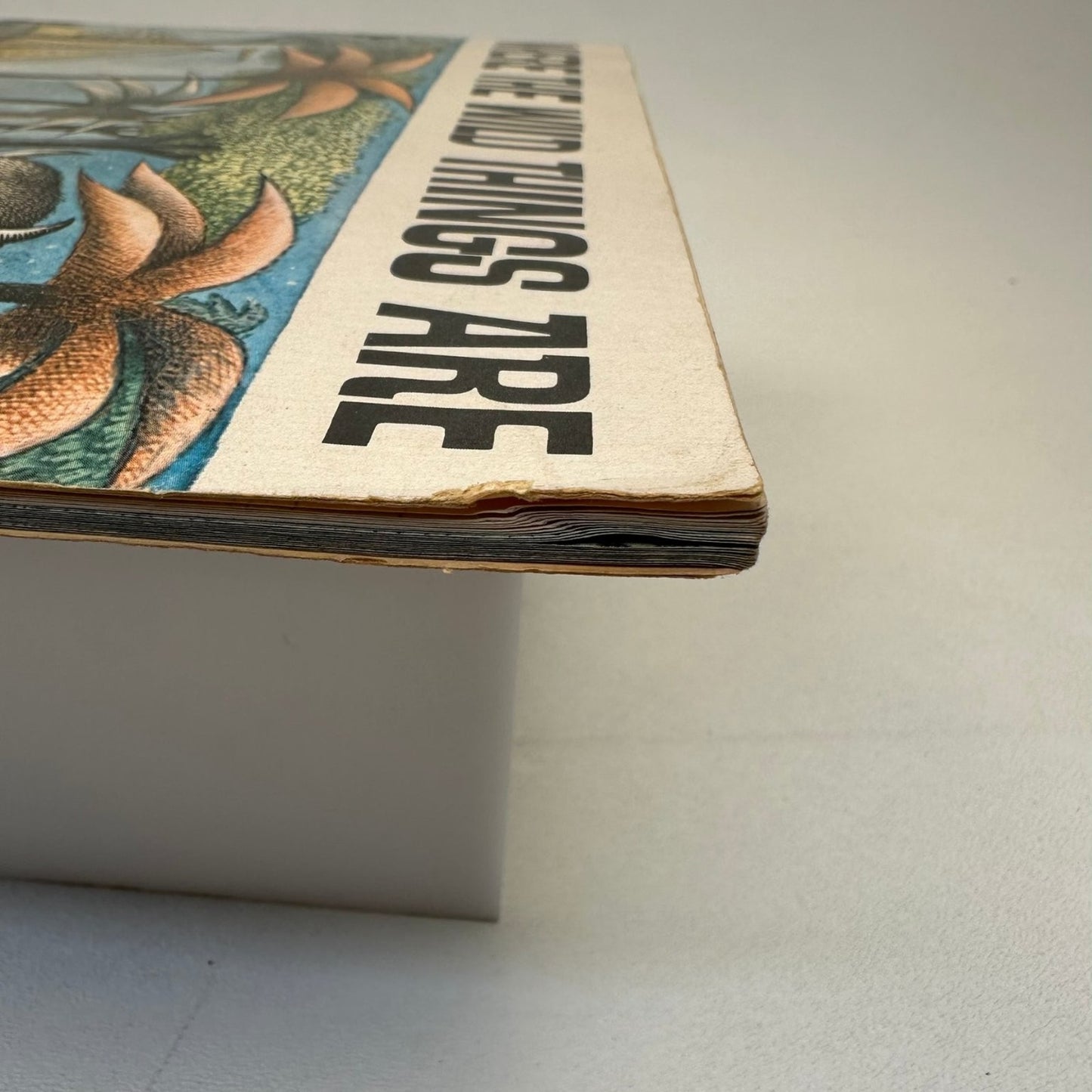 Where The Wild Things Are Maurice Sendak 1963 Scholastic Children's Picture Book
