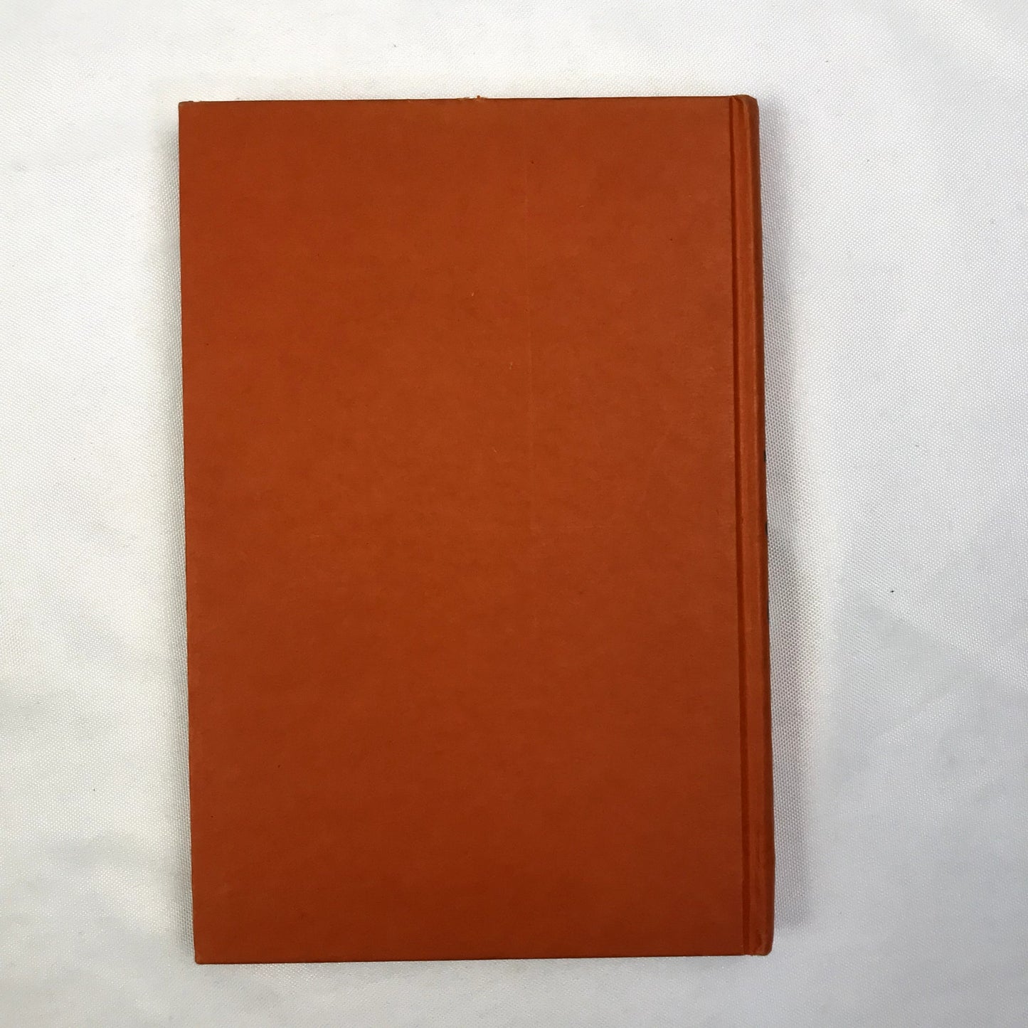 Superfudge Judy Blume Hardcover Book Penguin Publishing Group 1980 First Edition