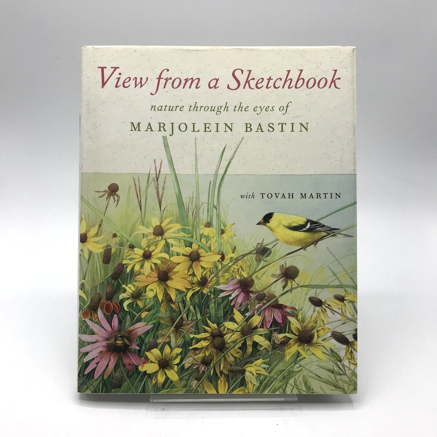 View from a Sketchbook Marjolein Basti First Printing Illustrated Hardcover 2004
