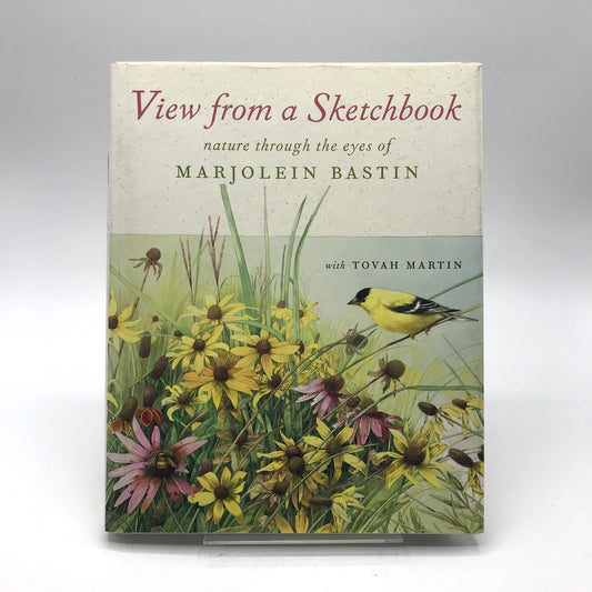 View from a Sketchbook Marjolein Basti First Printing Illustrated Hardcover 2004
