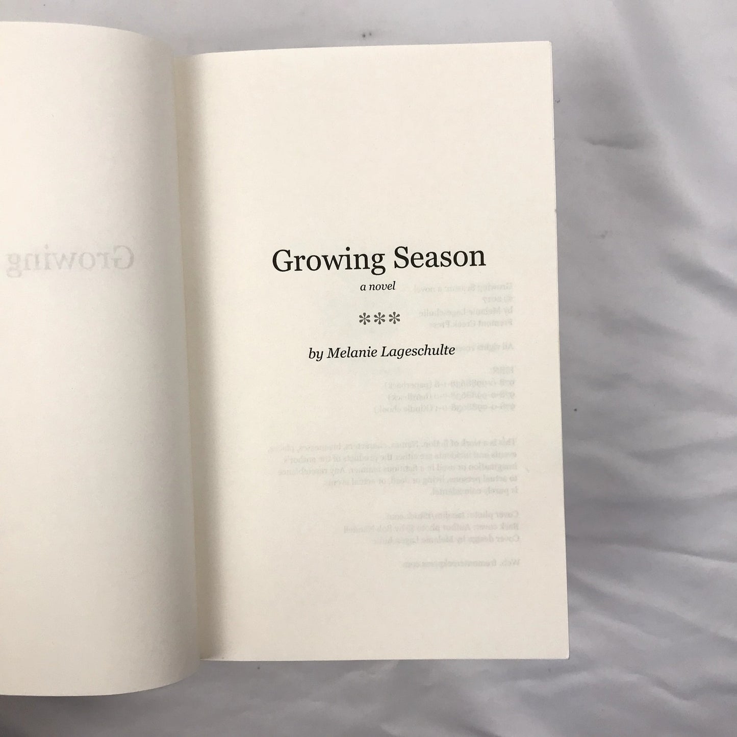 Melinda Foster Complete Series Melanie Lageschulte Paperback Cozy Mystery Novels