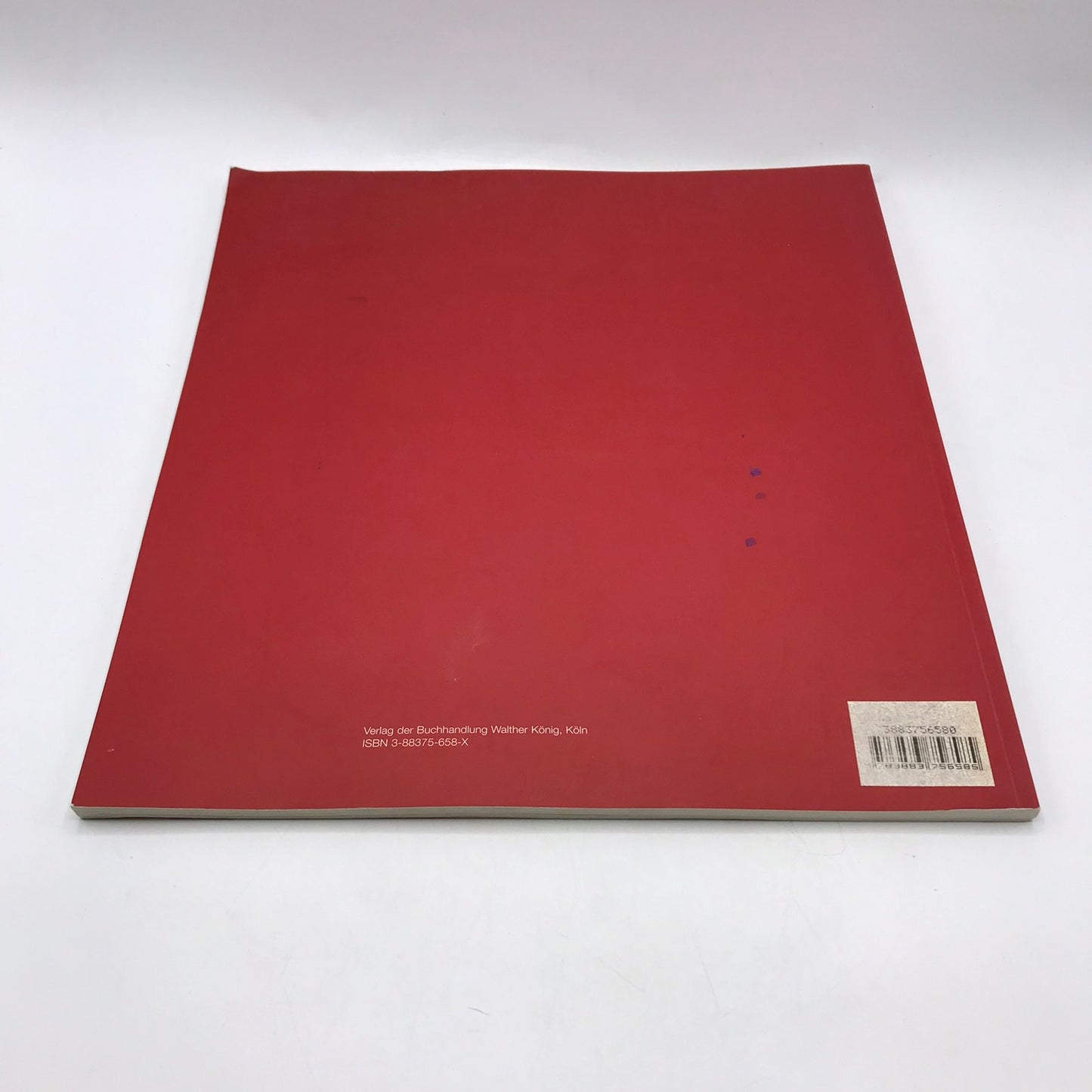 Secession IVAM Sue Williams Art For Institution and Home Catalog Regen Project
