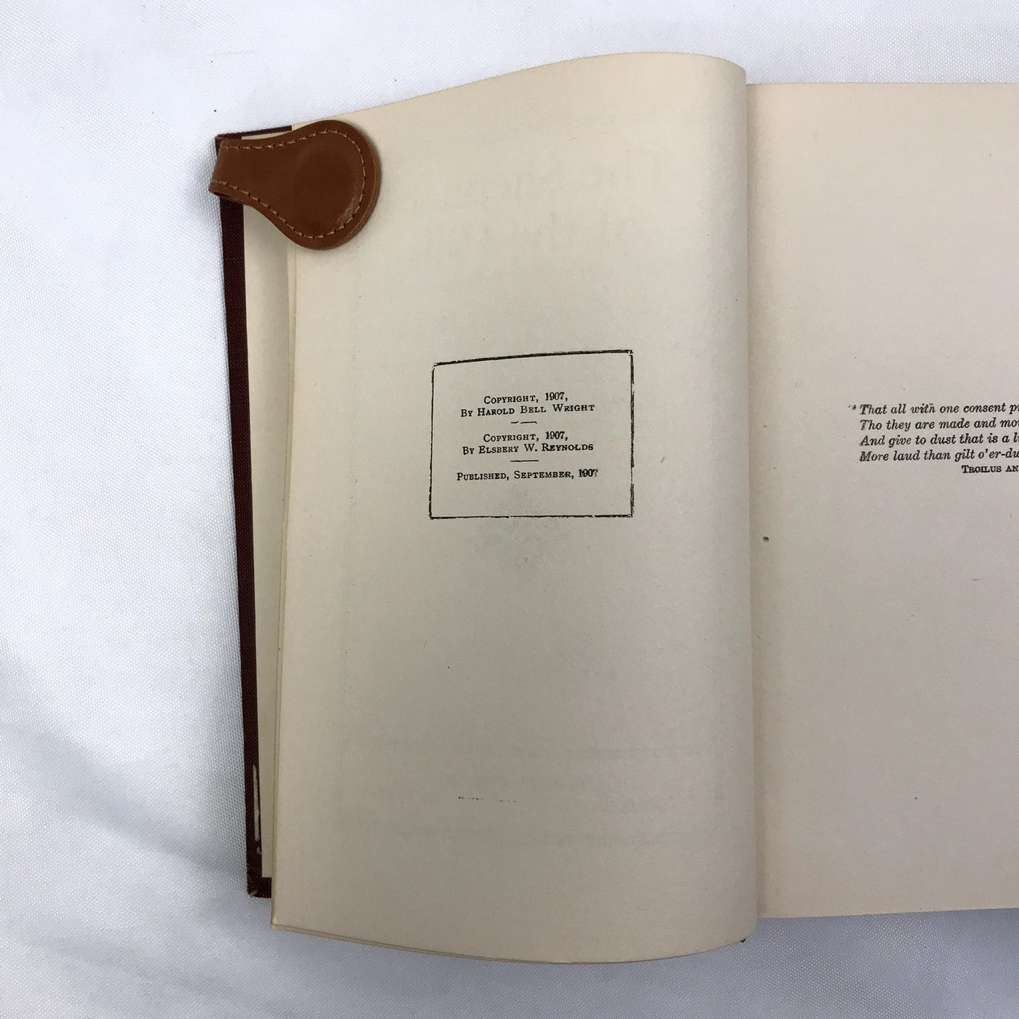 The Shepherd of the Hills Harold Bell Wright Illustrated Christian Fiction 1907