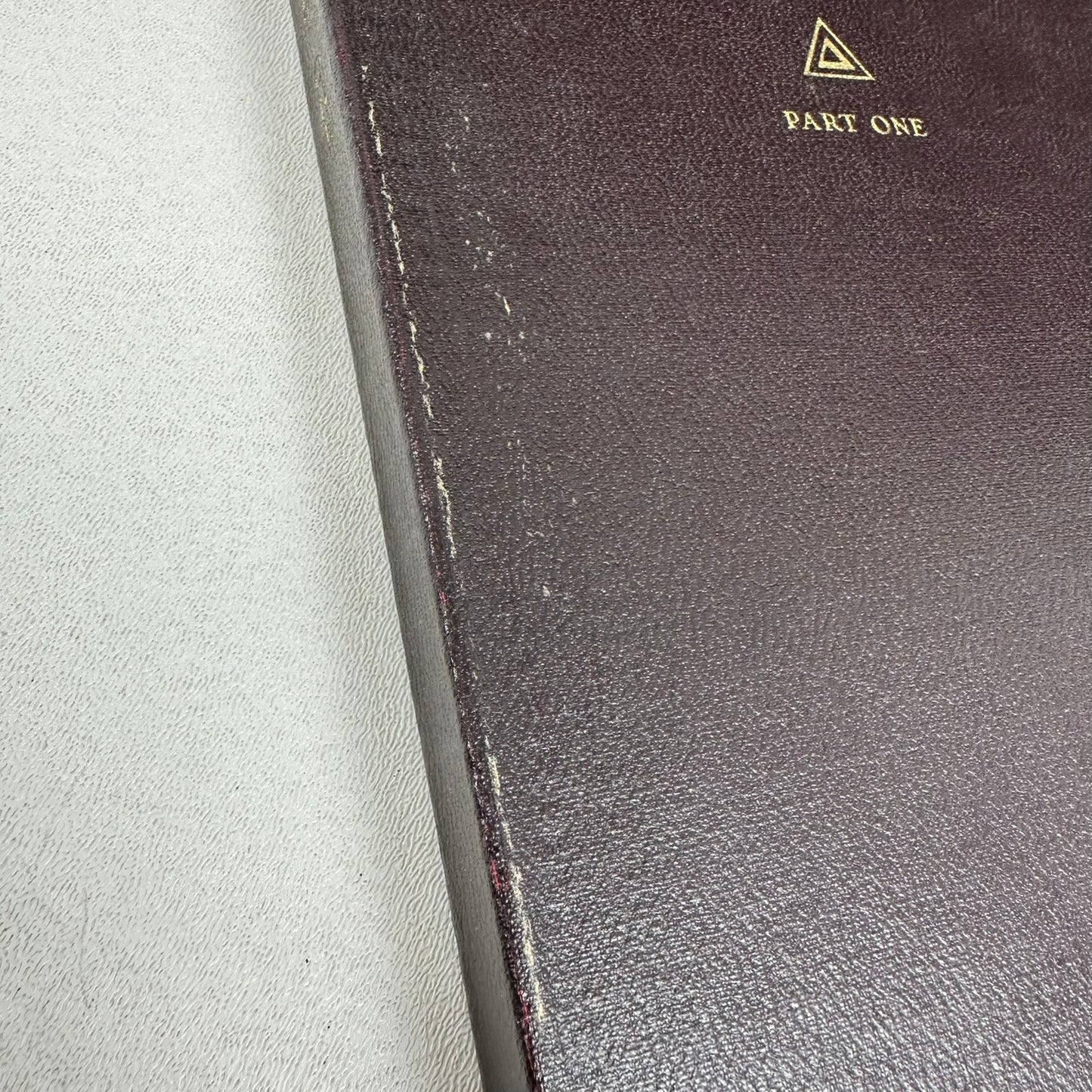 Delphian Text 19 Volumes plus Topical Outlines Leather Bound History Philosophy