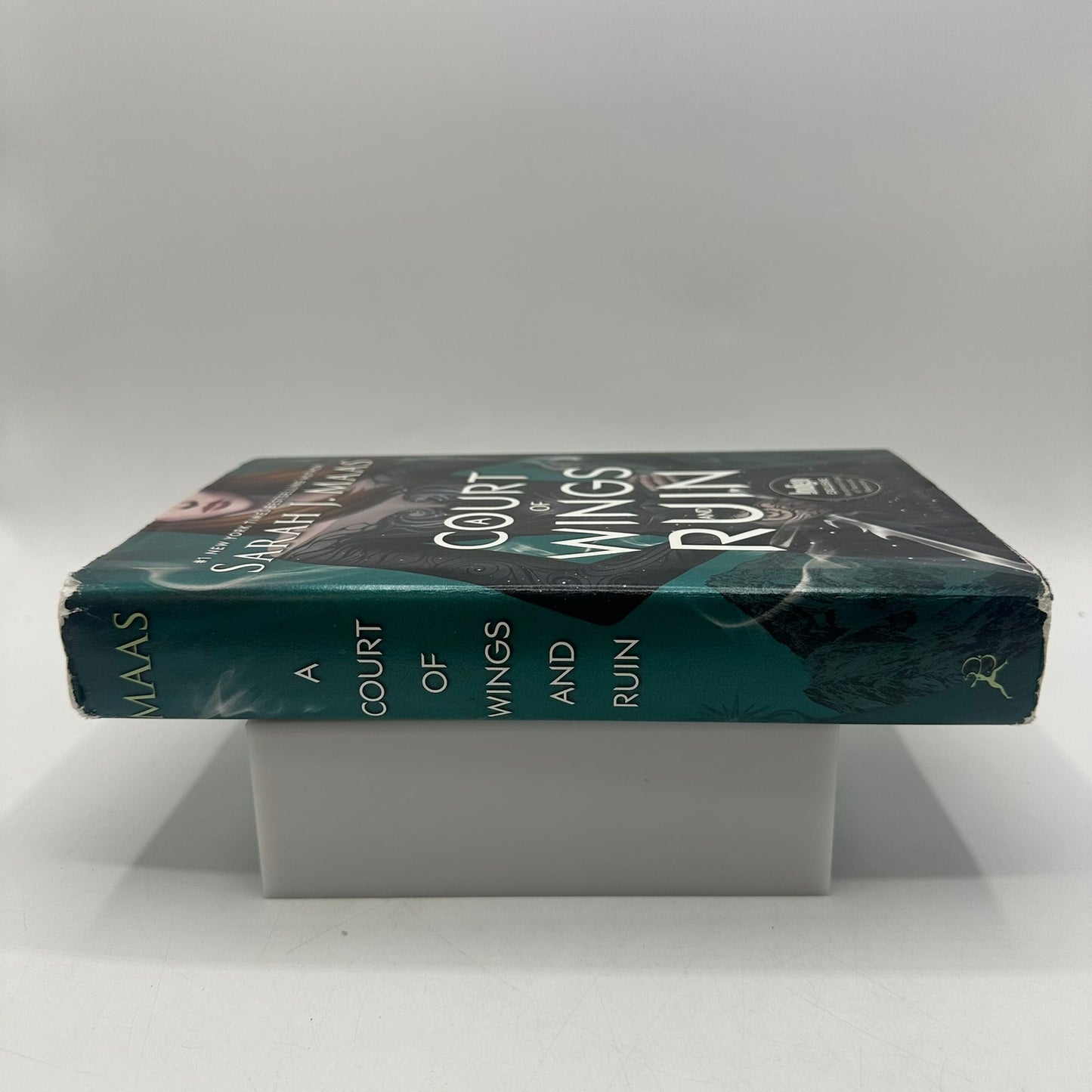 A Court of Wings and Ruin Sarah J Maas Indigo Exclusive Fan Art Fantasy OOP