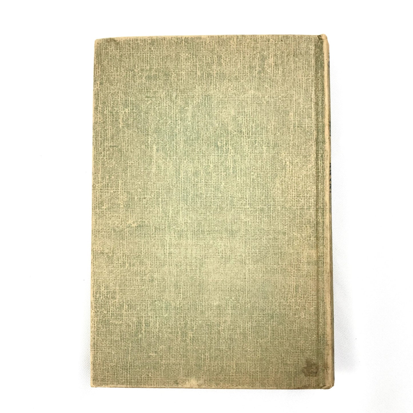 The Wind in the Willows Kenneth Grahame Childrens Classic Fantasy Animals 1913