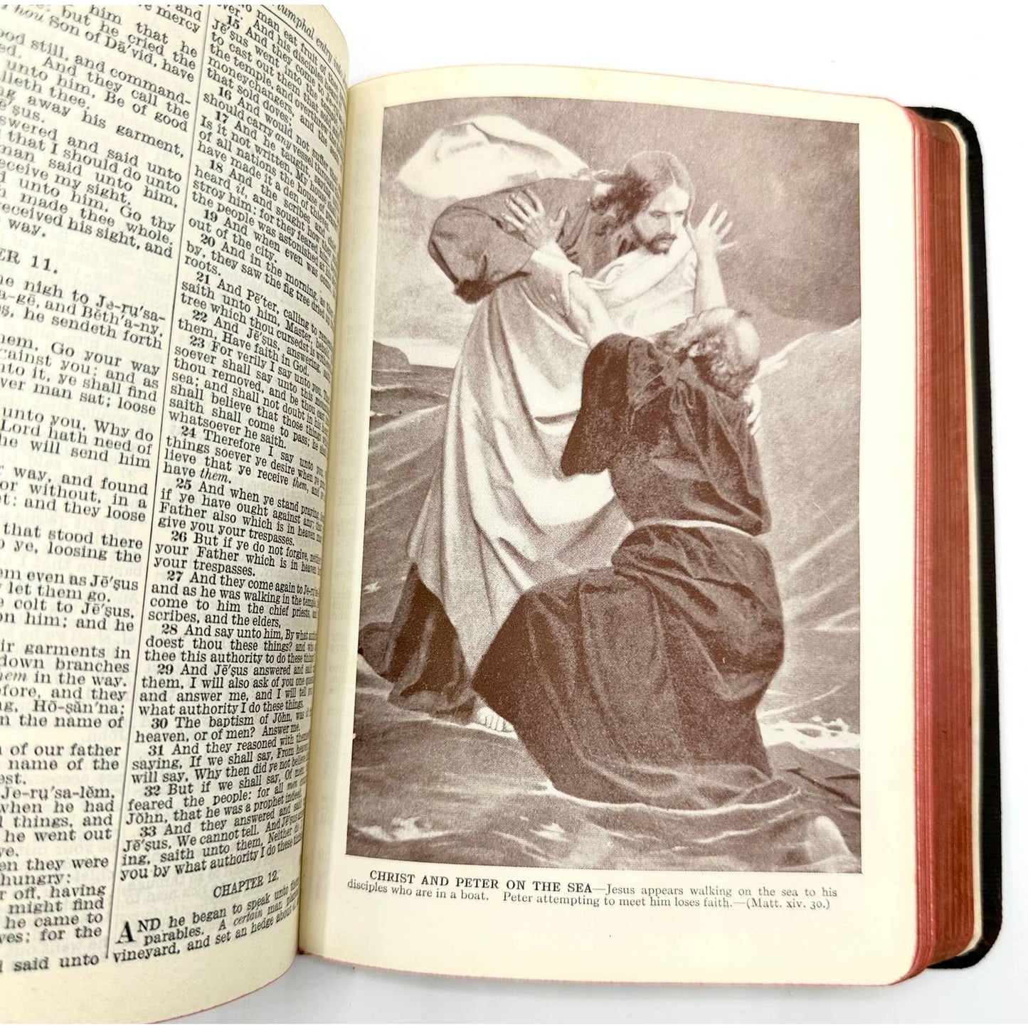 Holy Bible Authorized Version Illustrated Hardcover Cloth Binding Clear Type Ed.