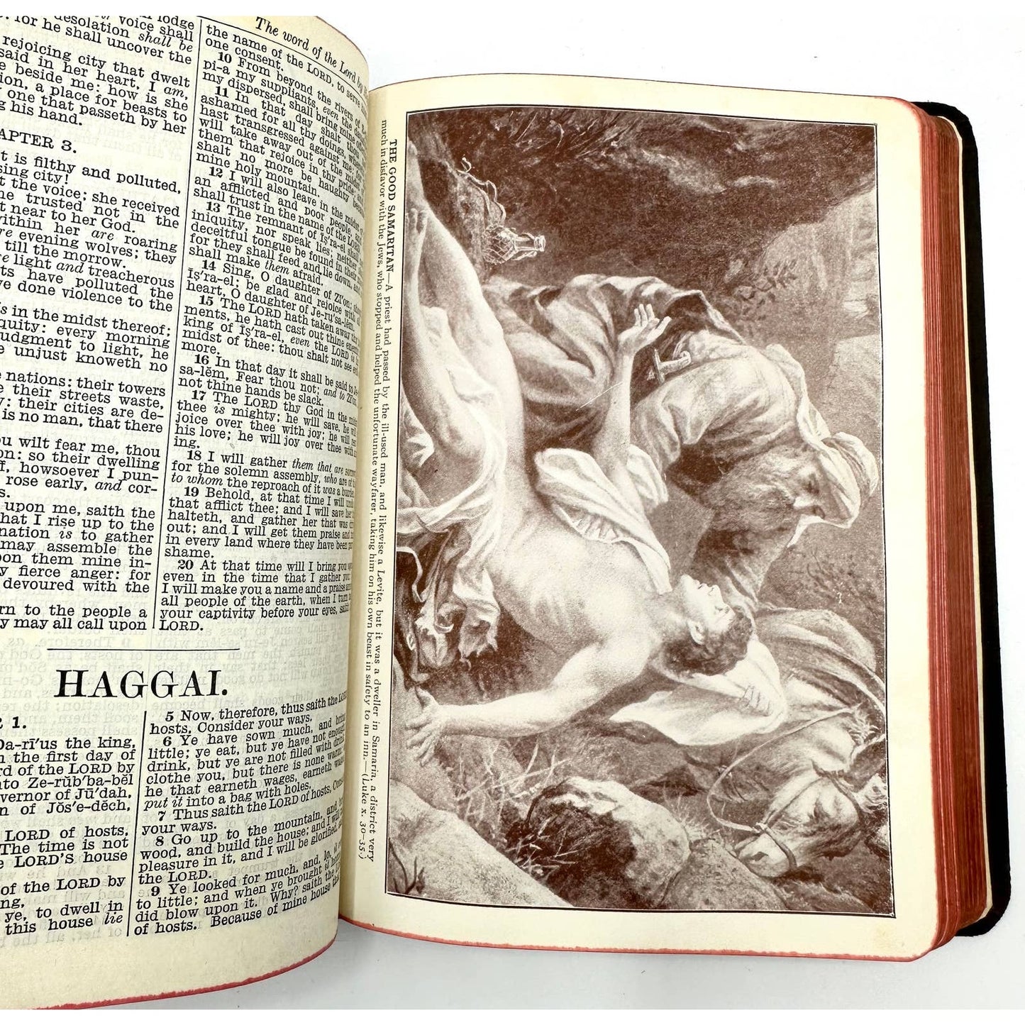 Holy Bible Authorized Version Illustrated Hardcover Cloth Binding Clear Type Ed.