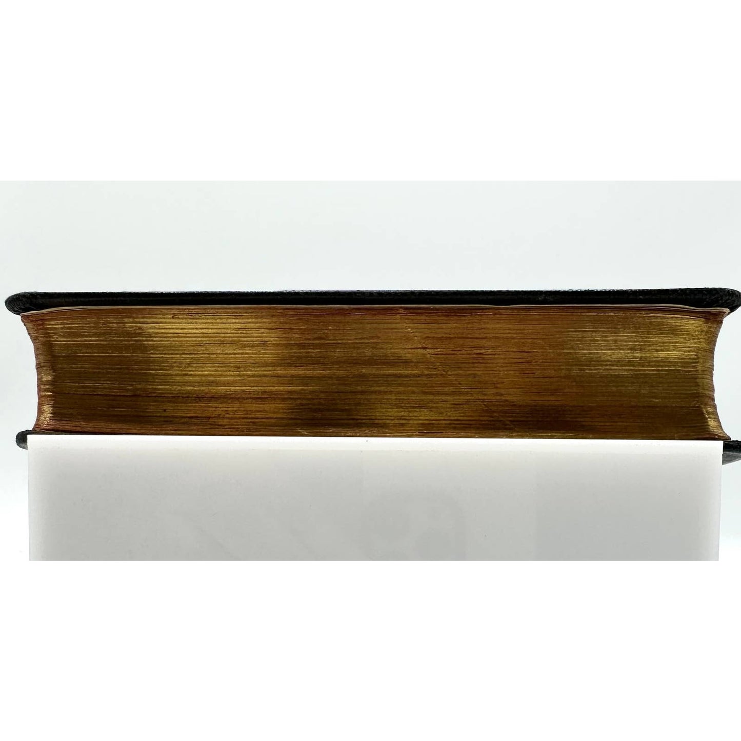 Holy Bible Authorized Version Illustrated Hardcover Cloth Binding Clear Type Ed.